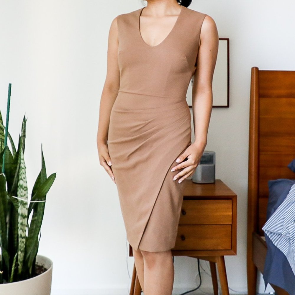 L'Agence Nude Fitted Dress